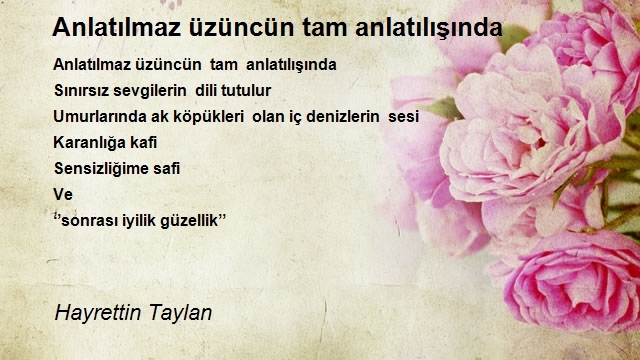 Hayrettin Taylan