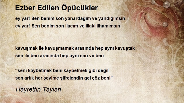 Hayrettin Taylan