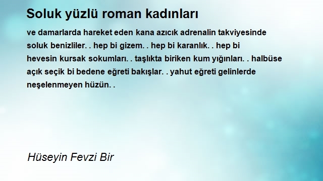 Hüseyin Fevzi Bir