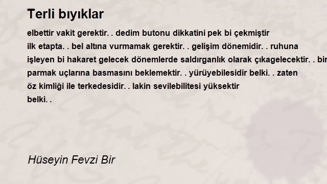 Hüseyin Fevzi Bir