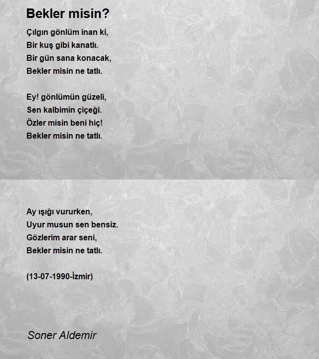 Soner Aldemir