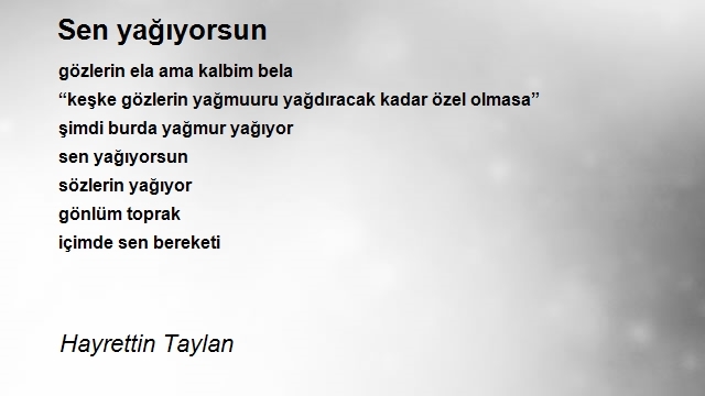 Hayrettin Taylan