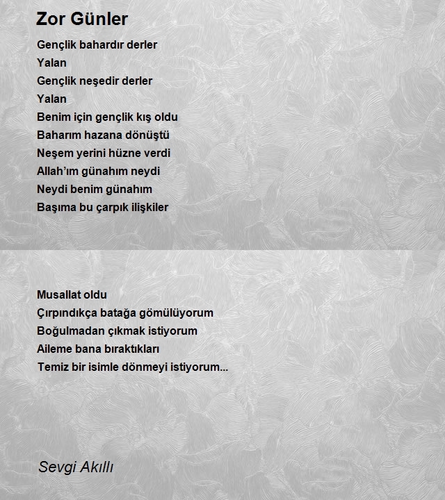 Sevgi Akıllı