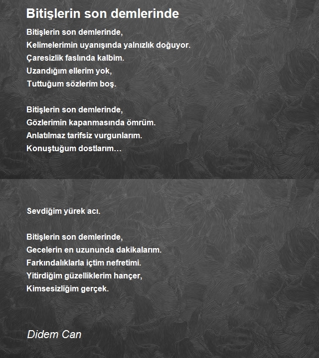 Didem Can