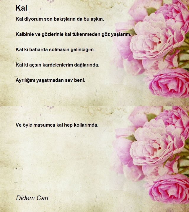 Didem Can