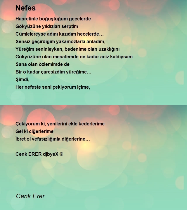 Cenk Erer