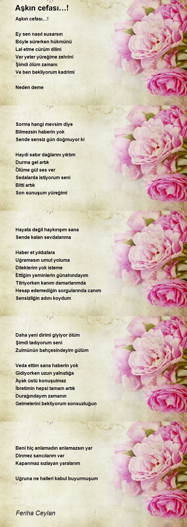 Feriha Ceylan