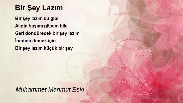 Muhammet Mahmut Eski