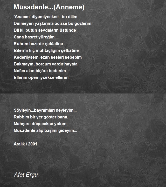 Afet Ergü