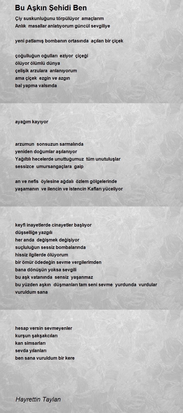 Hayrettin Taylan