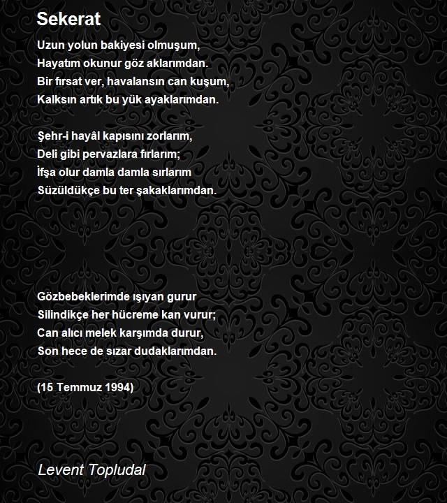 Levent Topludal