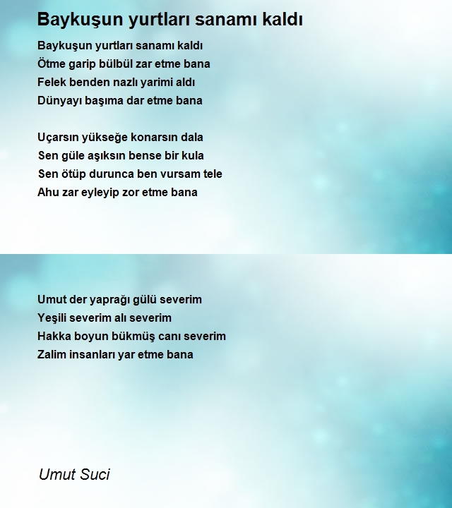 Umut Suci