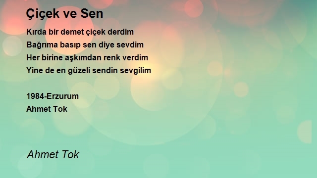 Ahmet Tok