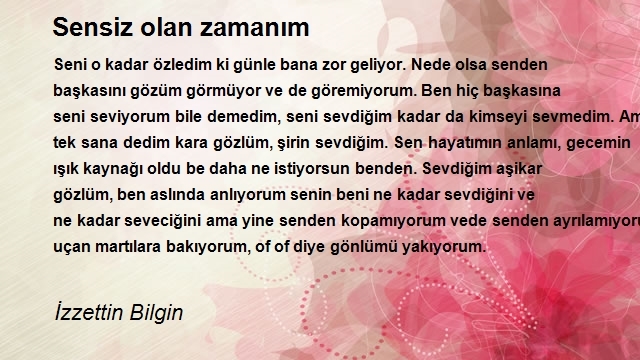 İzzettin Bilgin 