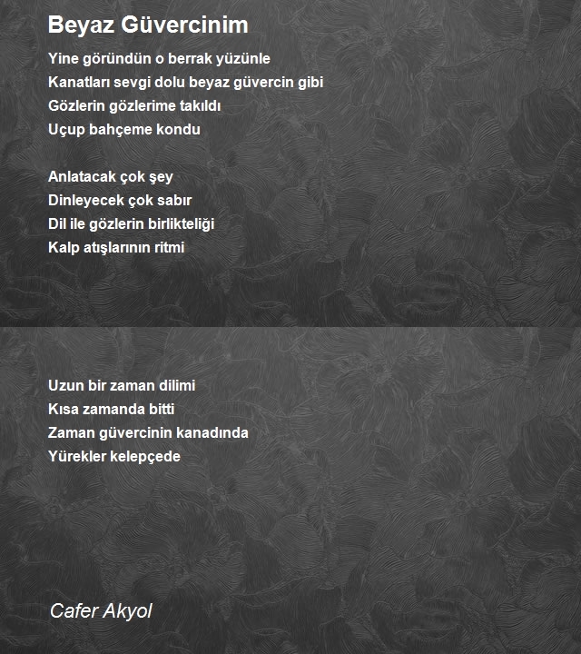 Cafer Akyol