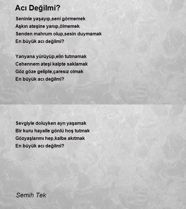 Semih Tek