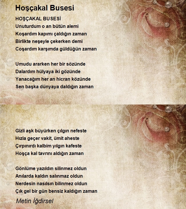 Metin İğdirsel