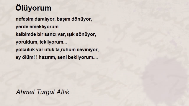 Ahmet Turgut Atlık