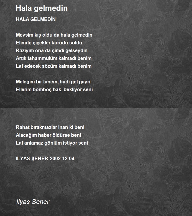 Ilyas Sener