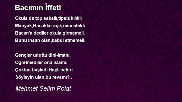 Mehmet Selim Polat