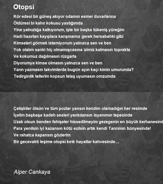 Alper Cankaya