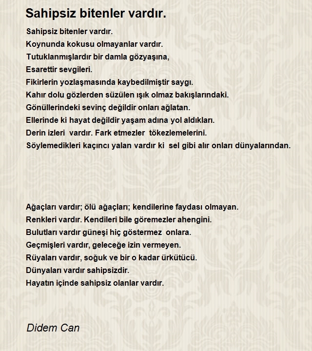 Didem Can