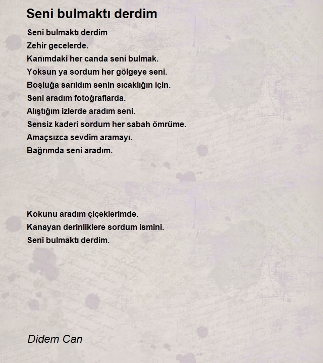 Didem Can