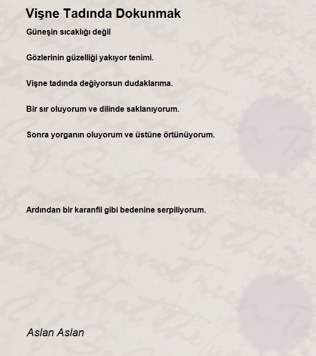 Aslan Aslan