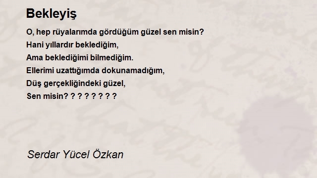 Serdar Yücel Özkan