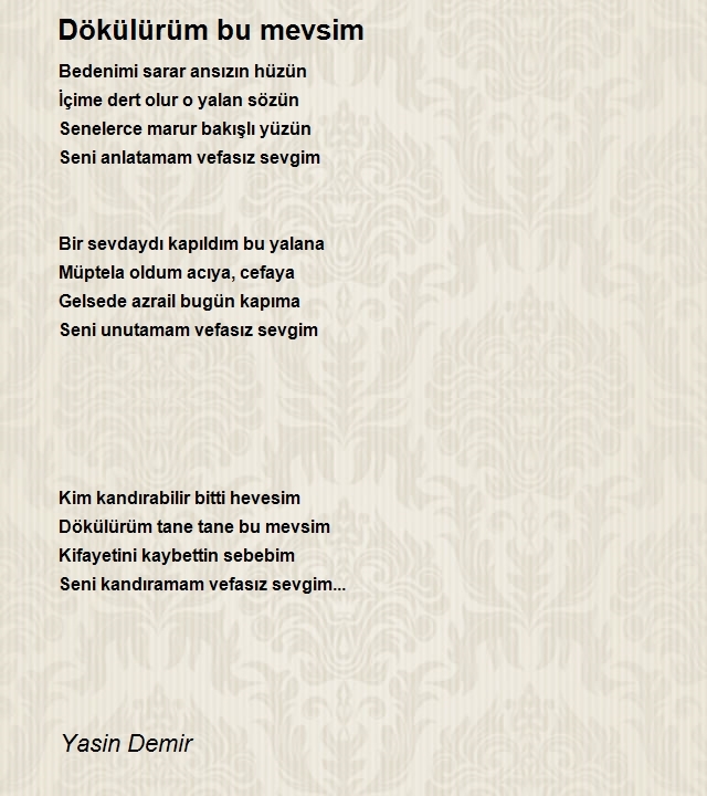 Yasin Demir