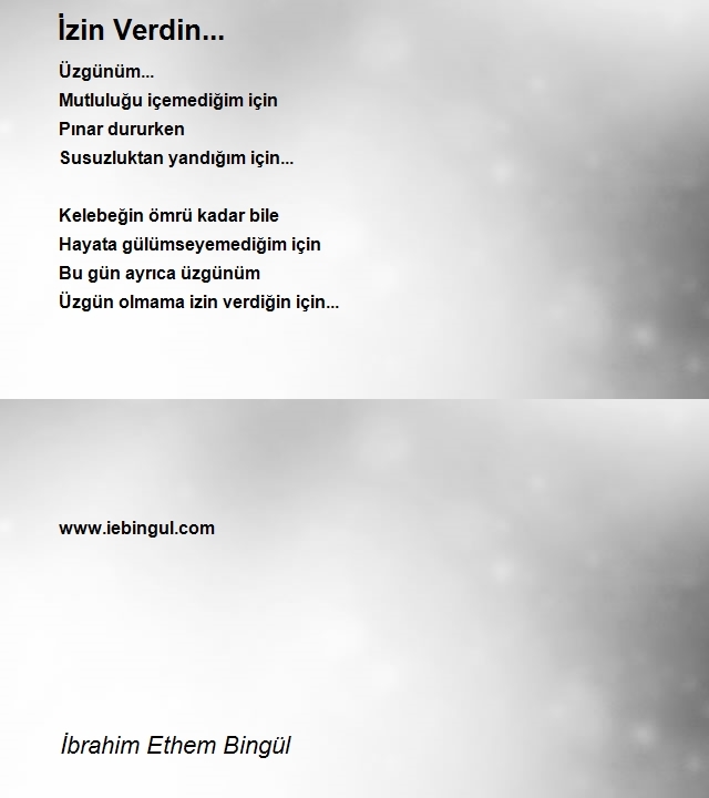 İbrahim Ethem Bingül