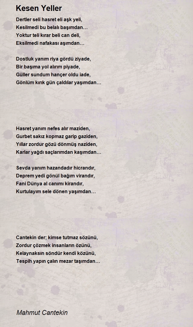 Mahmut Cantekin