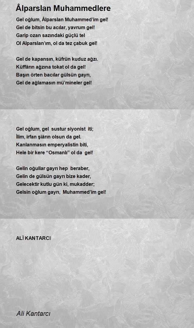 Ali Kantarcı