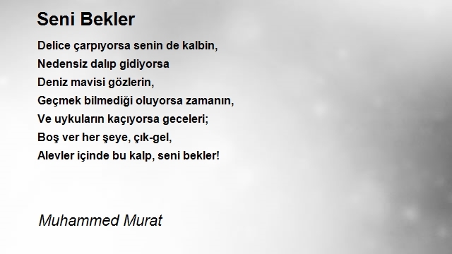 Muhammed Murat