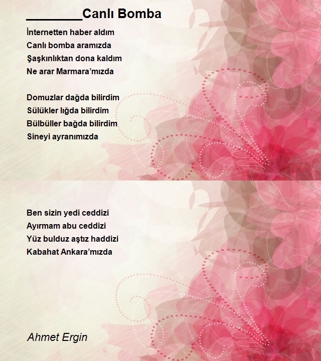 Ahmet Ergin