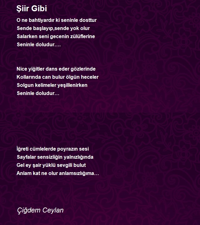 Çiğdem Ceylan