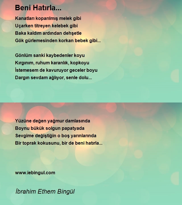 İbrahim Ethem Bingül