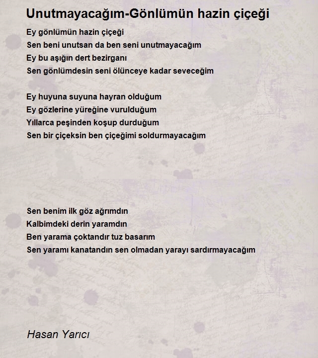 Hasan Yarıcı