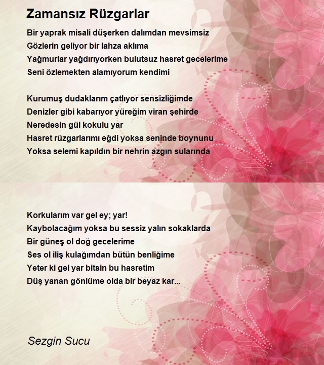 Sezgin Sucu