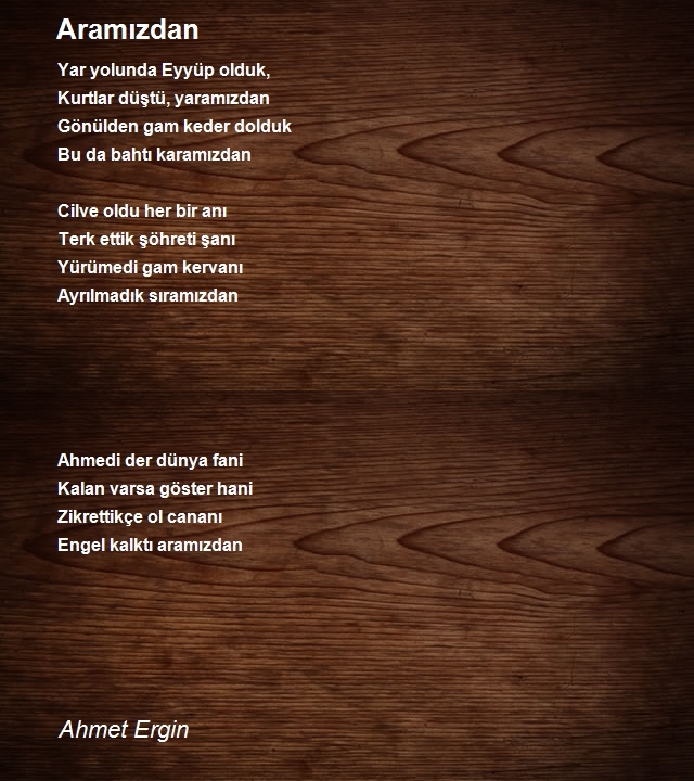 Ahmet Ergin