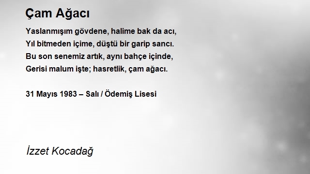 İzzet Kocadağ