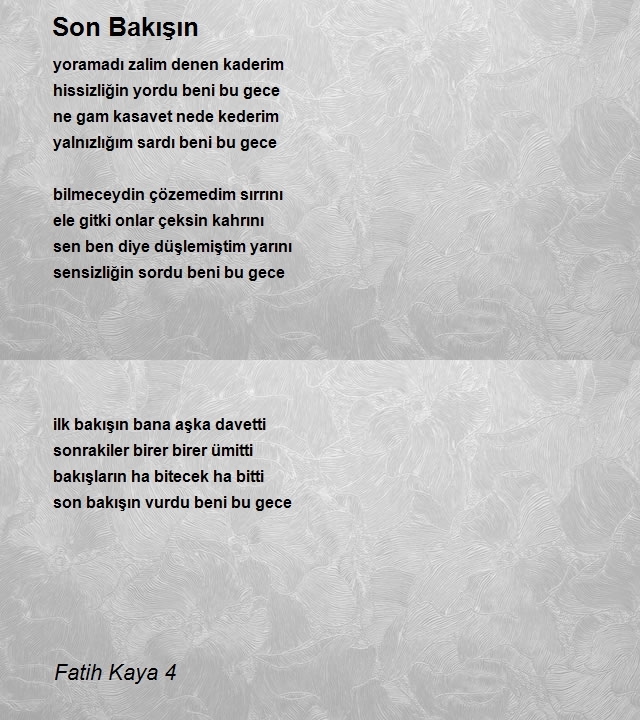 Fatih Kaya 4