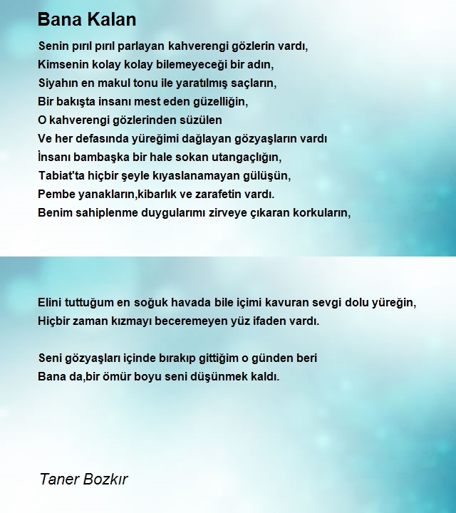 Taner Bozkır