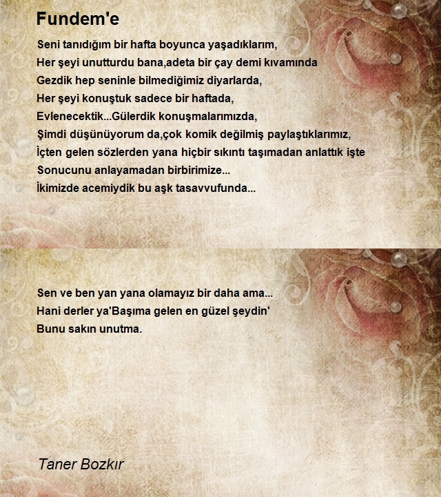 Taner Bozkır