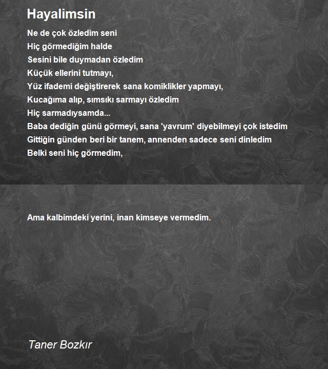 Taner Bozkır