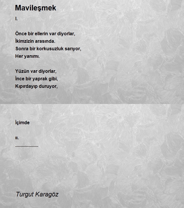 Turgut Karagöz