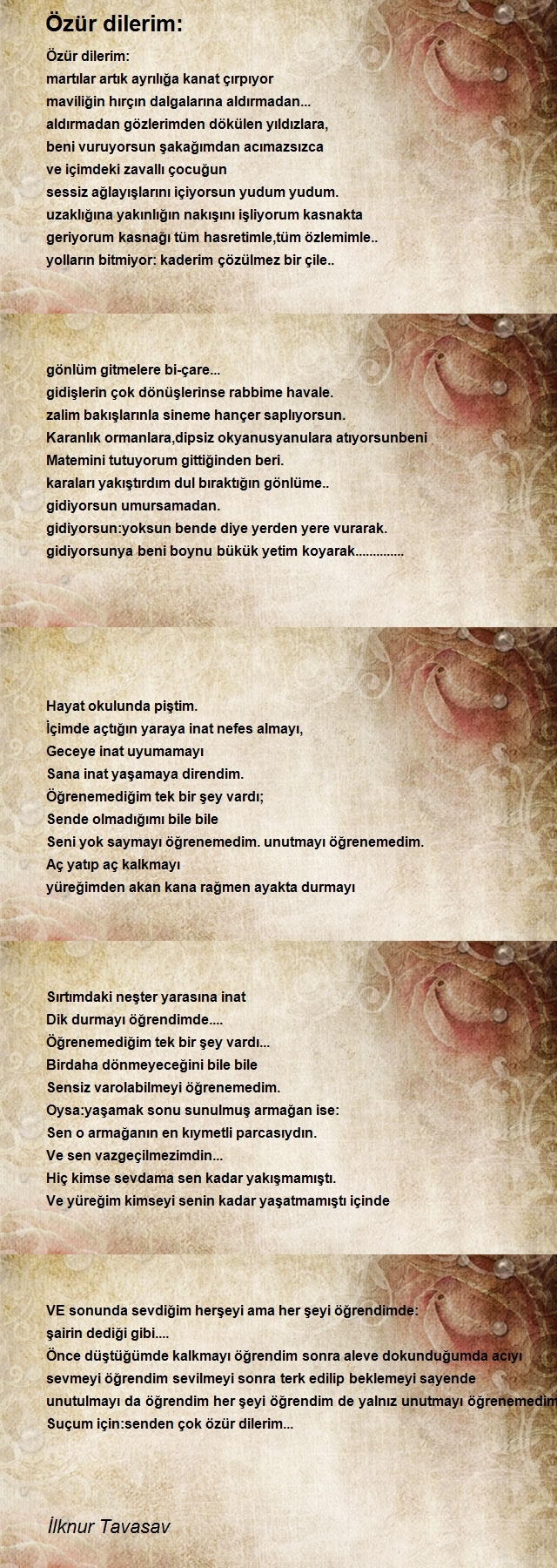 İlknur Tavasav