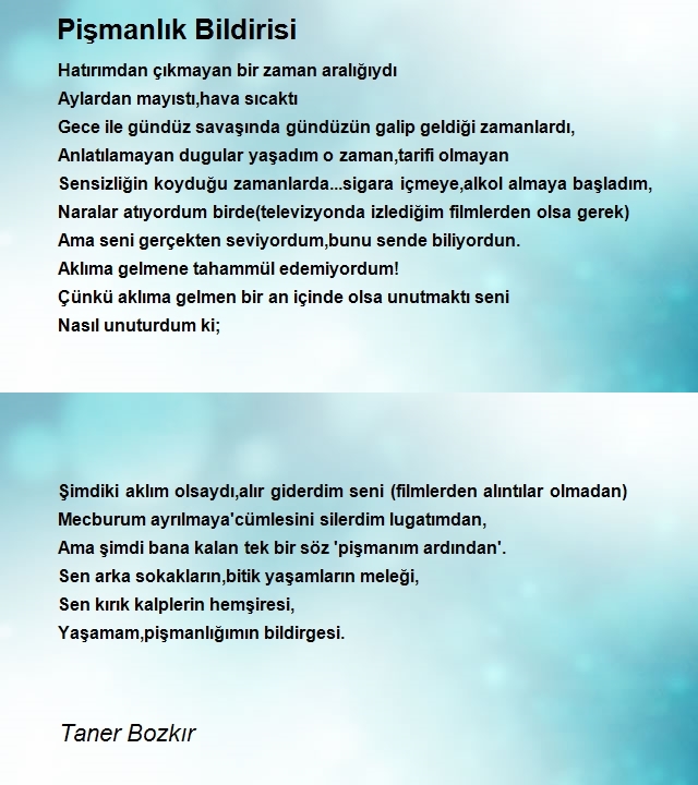 Taner Bozkır