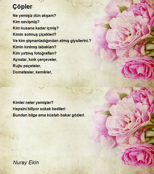 Nuray Ekin