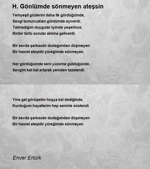 Enver Ertürk